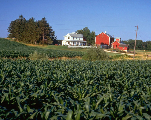 This is an image of Prints & Posters of Field of Dreams 201570