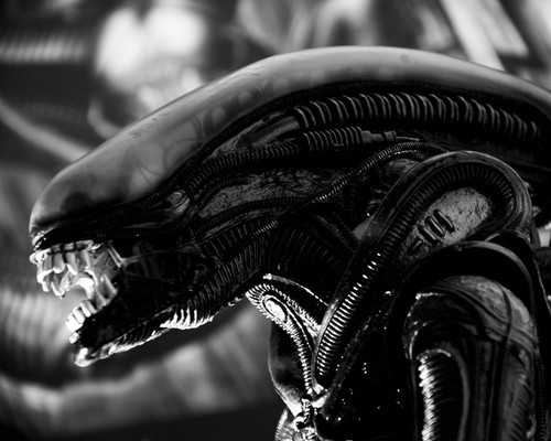 This is an image of Prints & Posters of Alien: Covenant 104078