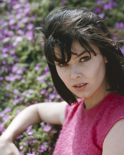 Movie Market - Prints & Posters of Yvonne Craig 201503