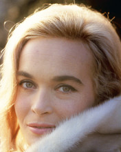 This is an image of Prints & Posters of Shirley Eaton 201550