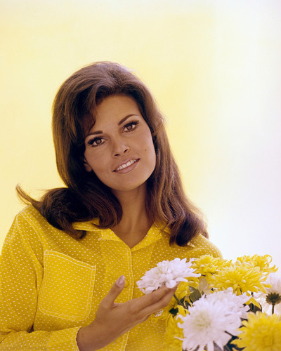 This is an image of Prints & Posters of Raquel Welch 201586