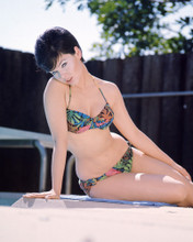 This is an image of Prints & Posters of Yvonne Craig 201594
