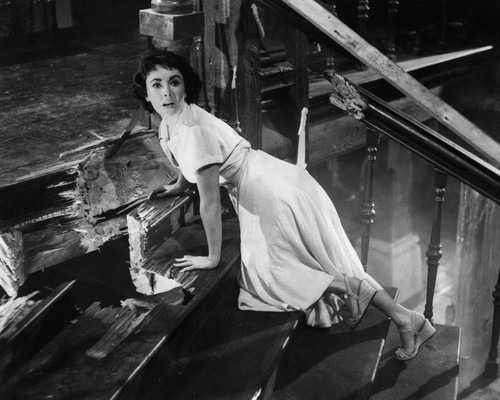 This is an image of Prints & Posters of Elizabeth Taylor 104108
