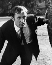 This is an image of Prints & Posters of Roy Thinnes 104113
