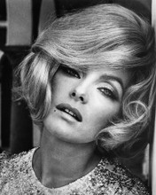 This is an image of Prints & Posters of Virna Lisi 104124