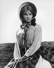 This is an image of Prints & Posters of Julie Christie 104132