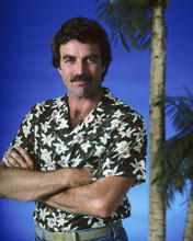 Movie Market - Tom Selleck Gallery of Photos and Posters