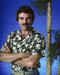 This is an image of Prints & Posters of Tom Selleck 201695