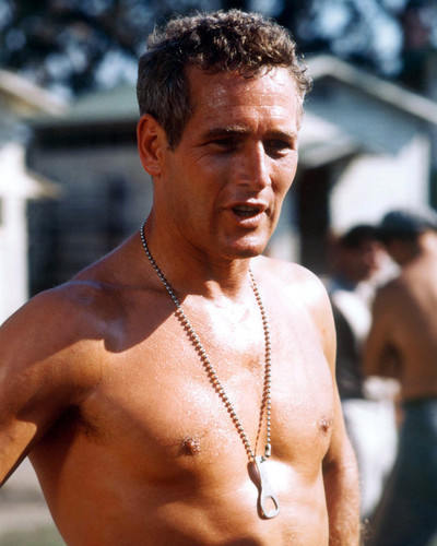 This is an image of Prints & Posters of Paul Newman 201725