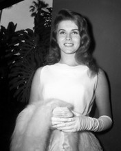 This is an image of Prints & Posters of Ann-Margret 104281