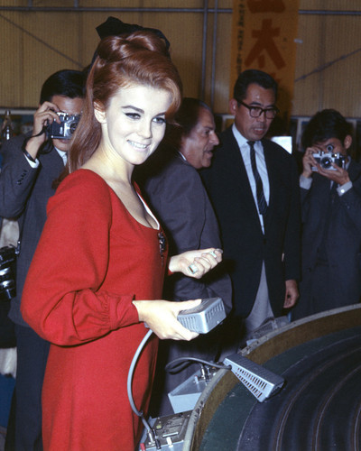 This is an image of Prints & Posters of Ann-Margret 201899