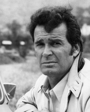This is an image of Prints & Posters of The Rockford Files 104273