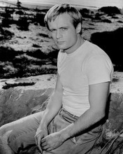 This is an image of Prints & Posters of David McCallum 104315