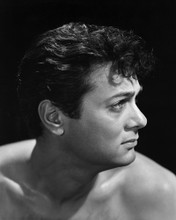 This is an image of Prints & Posters of Tony Curtis 104325
