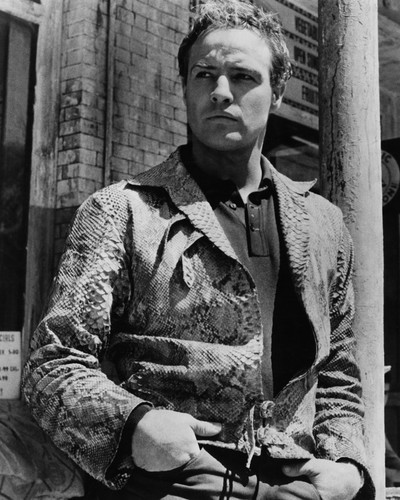 This is an image of Prints & Posters of Marlon Brando 104327