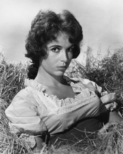 This is an image of Prints & Posters of Linda Cristal 104341