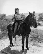 This is an image of Prints & Posters of Linda Cristal 104342