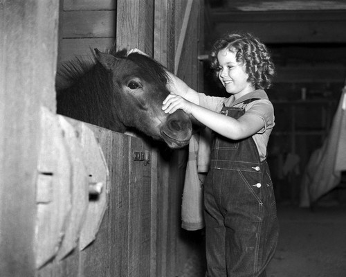 This is an image of Prints & Posters of Shirley Temple 104495