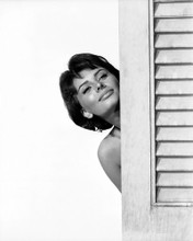 This is an image of Prints & Posters of Sophia Loren 104498