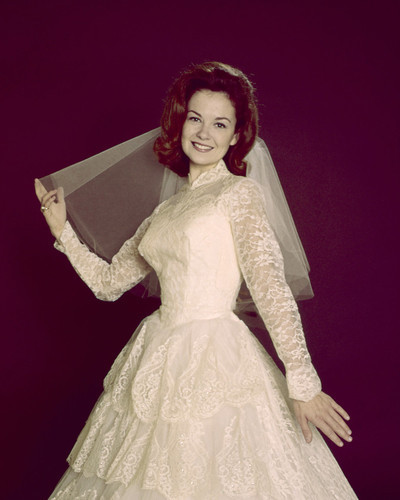 This is an image of Prints & Posters of Shelly Fabres 202254