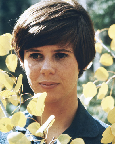 This is an image of Prints & Posters of Kim Darby 202291