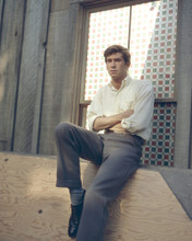 This is an image of Prints & Posters of Anthony Perkins 202327
