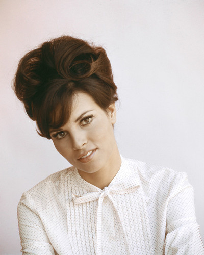 This is an image of Prints & Posters of Raquel Welch 202429