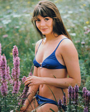 This is an image of 2349 Lesley-Anne Down Photograph & Poster