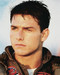 This is an image of 2460 Tom Cruise Photograph & Poster