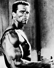 This is an image of 11040 Arnold Schwarzenegger Photograph & Poster