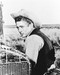 This is an image of 11730 James Dean Photograph & Poster
