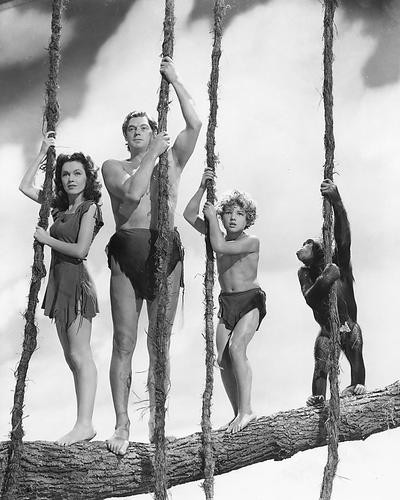 This is an image of 11813 Tarzan Photograph & Poster