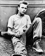 This is an image of 11869 River Phoenix Photograph & Poster