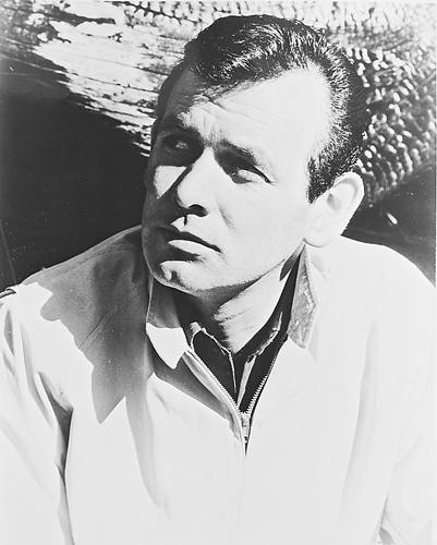 This is an image of 12232 David Janssen Photograph & Poster