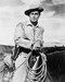 This is an image of 12237 Alan Ladd Photograph & Poster