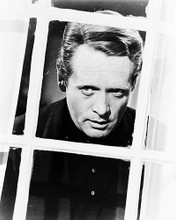 This is an image of 12336 Patrick McGoohan Photograph & Poster