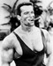 This is an image of 12477 Arnold Schwarzenegger Photograph & Poster