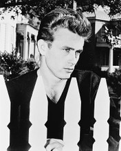 This is an image of 13205 James Dean Photograph & Poster