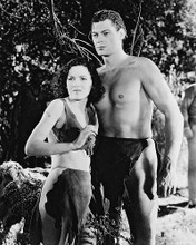 This is an image of 13348 Tarzan Photograph & Poster