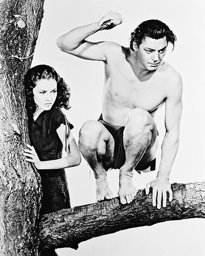 This is an image of 14221 Tarzan Photograph & Poster