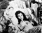 This is an image of 14393 Vivien Leigh Photograph & Poster