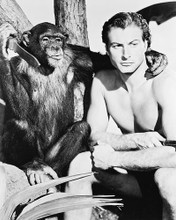 This is an image of 14734 Lex Barker Photograph & Poster