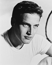 This is an image of 14948 Paul Newman Photograph & Poster