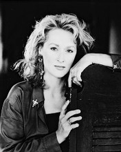 This is an image of 15257 Meryl Streep Photograph & Poster