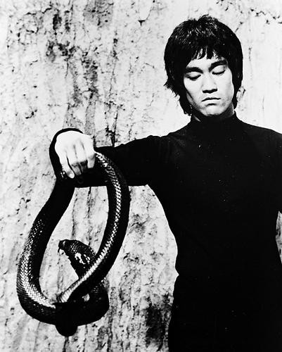 This is an image of 17930 Bruce Lee Photograph & Poster