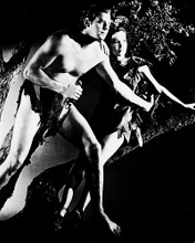 This is an image of 18111 Tarzan Photograph & Poster