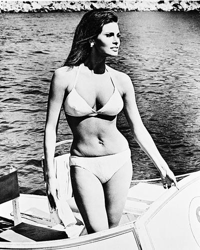 Raquel Welch Fakes