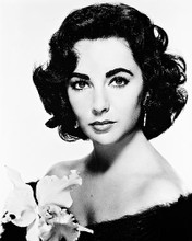 This is an image of 19228 Elizabeth Taylor Photograph & Poster