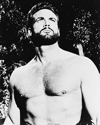 This is an image of 19699 Steve Reeves Photograph & Poster