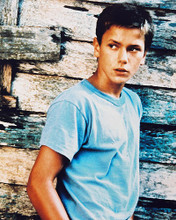This is an image of 21453 River Phoenix Photograph & Poster